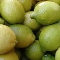 Limón Agroecológico