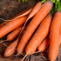 Zanahoria Agroecológica