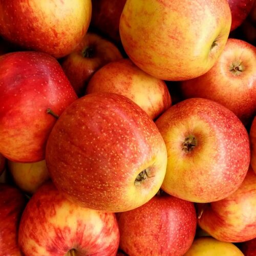 Manzana Agroecológica - 1Kg