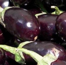 Berenjena Agroecológica - 1Kg