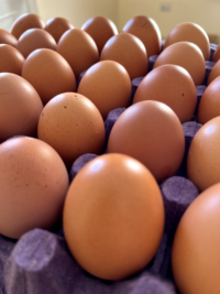 Huevos pastoriles