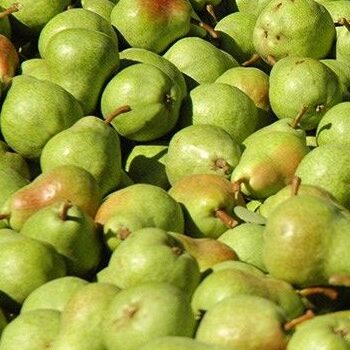 Pera Packams Agroecológica - 1Kg
