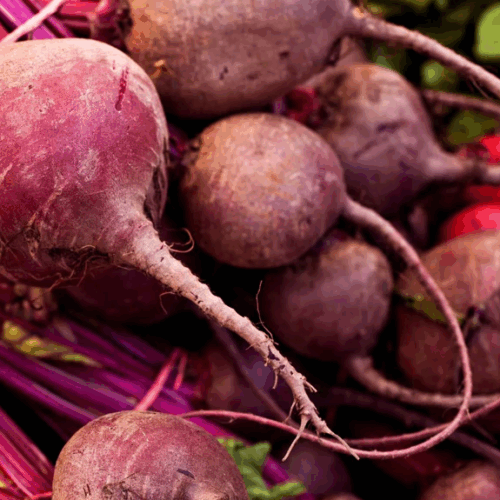 Remolacha Agroecológica