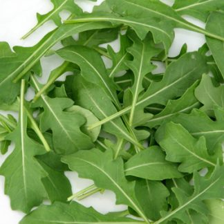 Rúcula Agroecológica