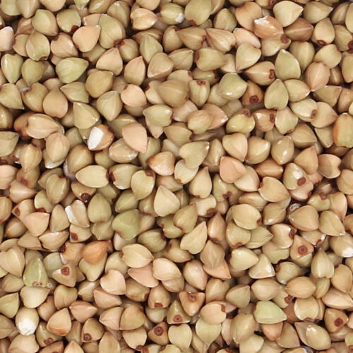 Trigo Sarraceno Agroecológico