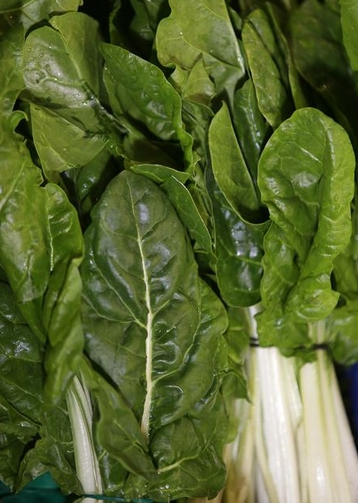 Acelga Agroecológica